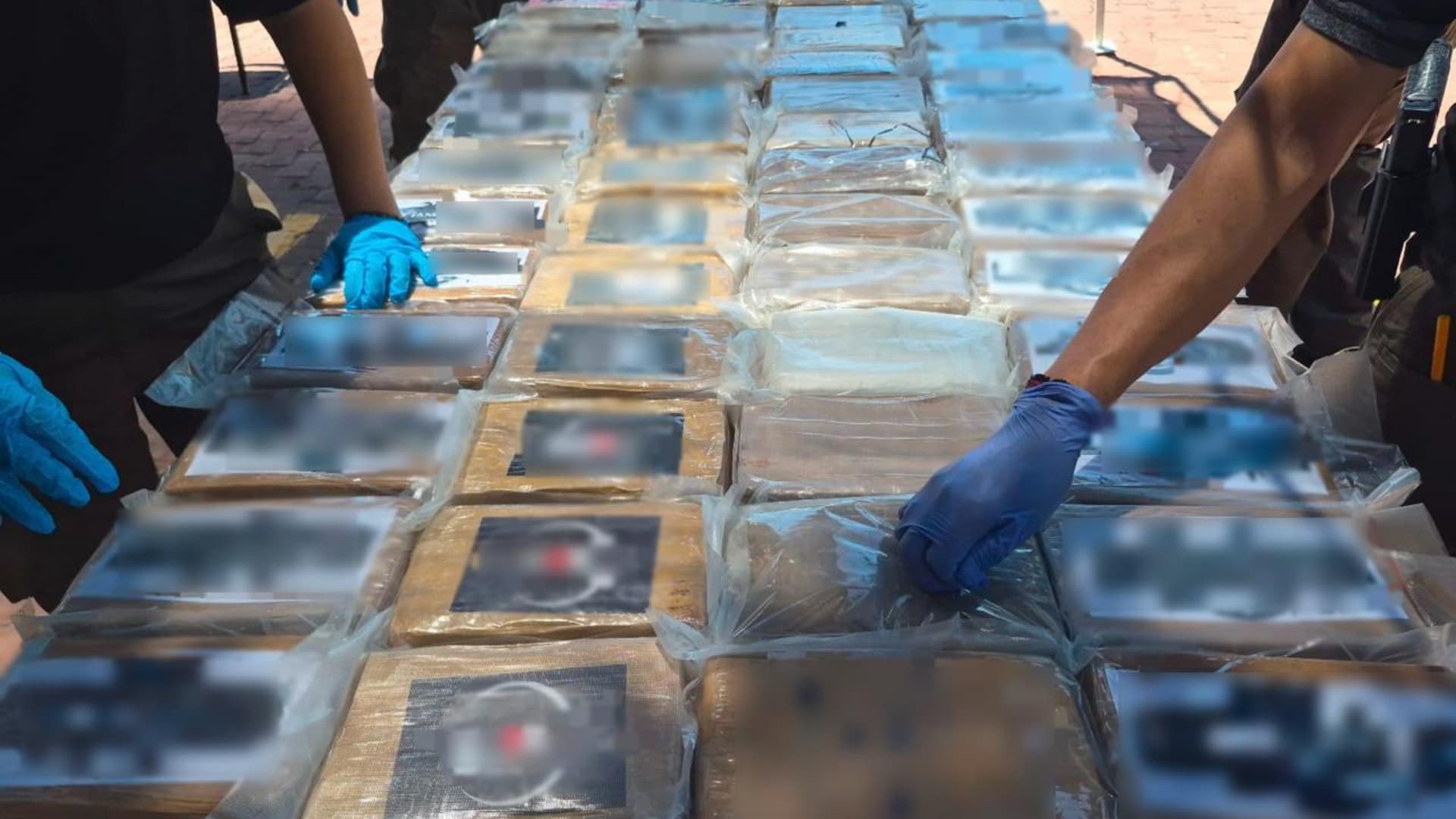 Aseguraron 268 paquetes con aproximadamente 270 kilos de cocaína localizados al interior de un contenedor.