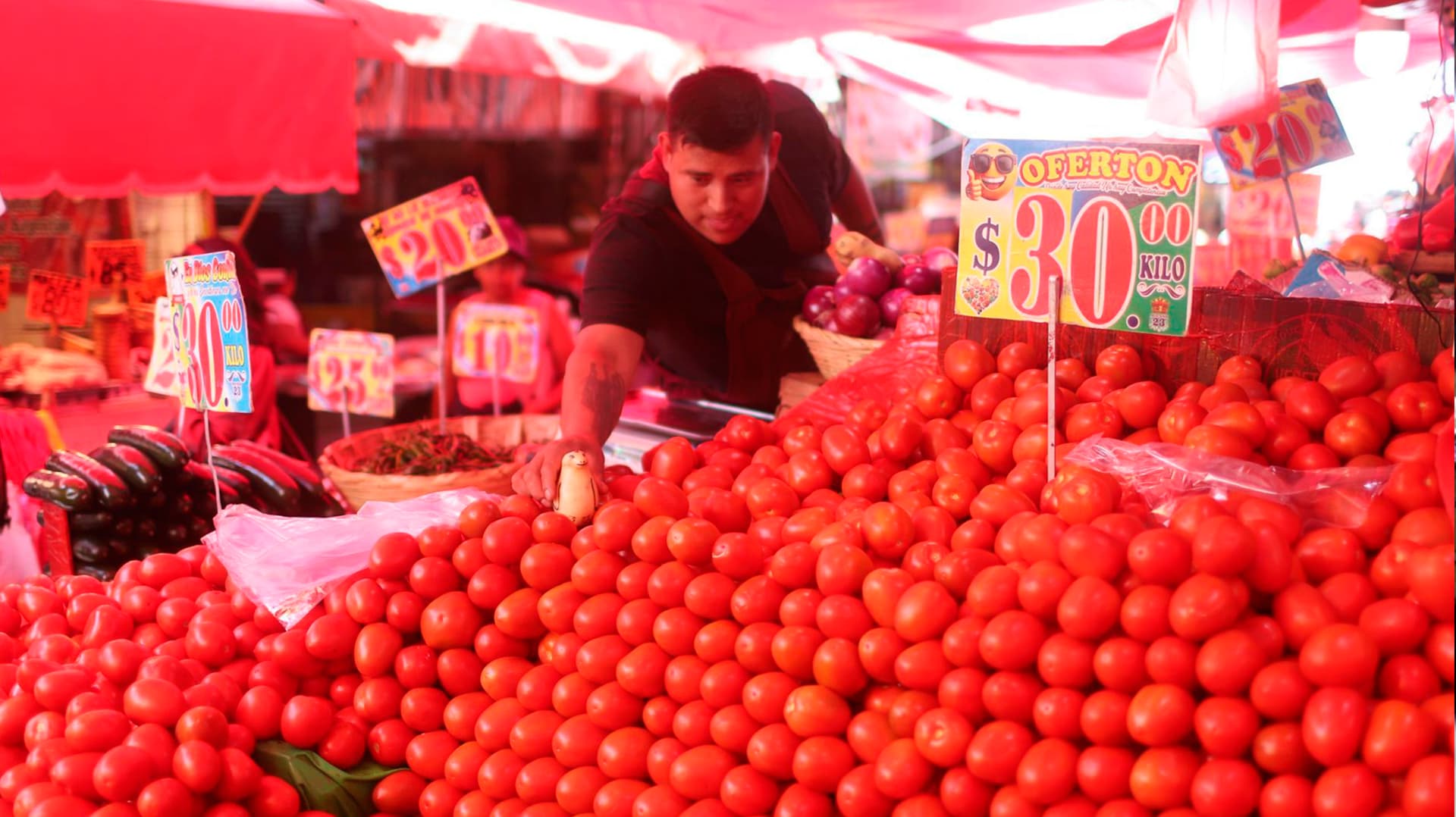 Canasta Alimentaria Sube 4.5% en Ciudades y 3.2% en Zonas Rurales Durante Agosto: INEGI