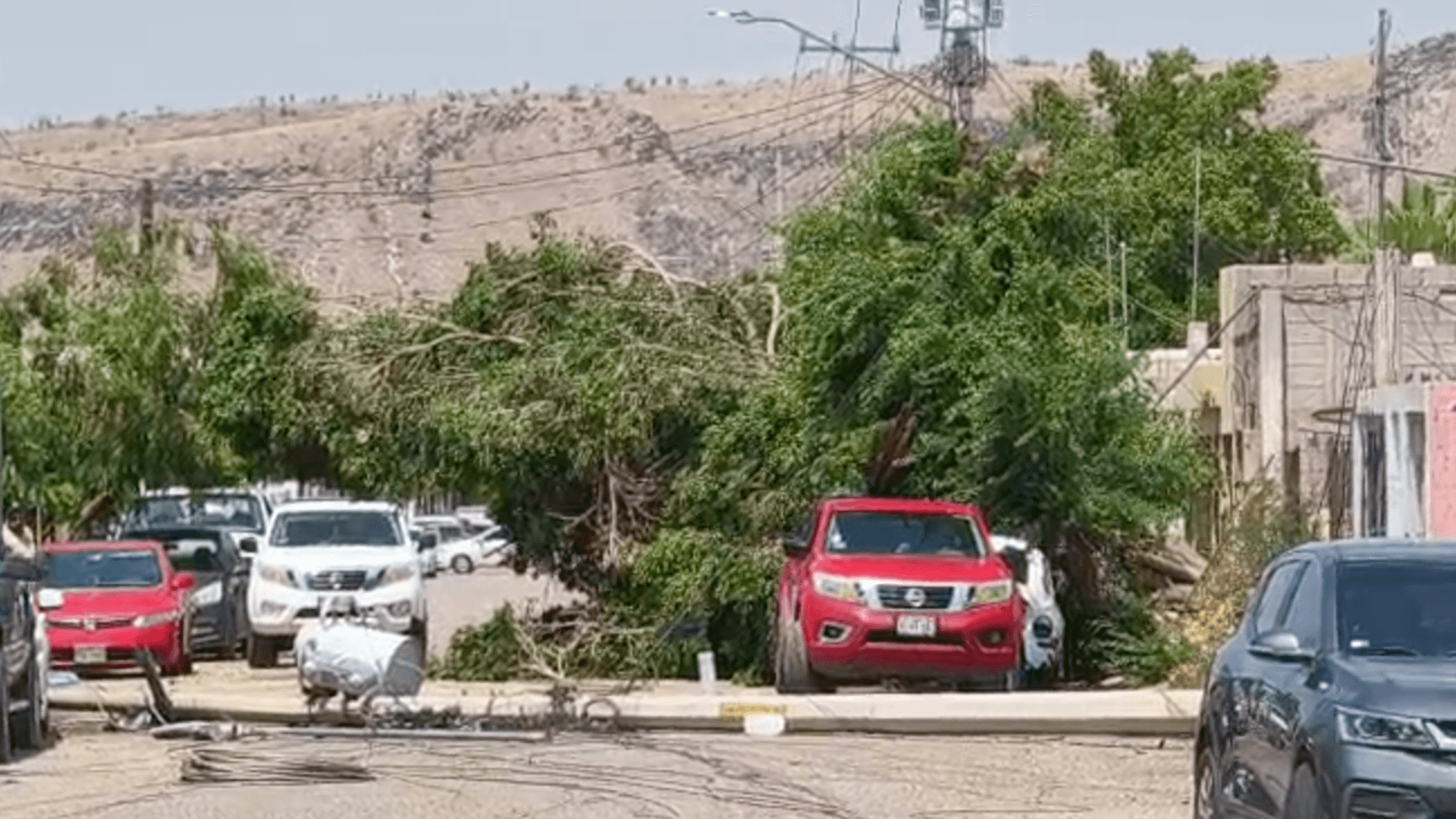Afectaciones tras Tormenta de Arena y Lluvias Registradas en Hermosillo, Sonora