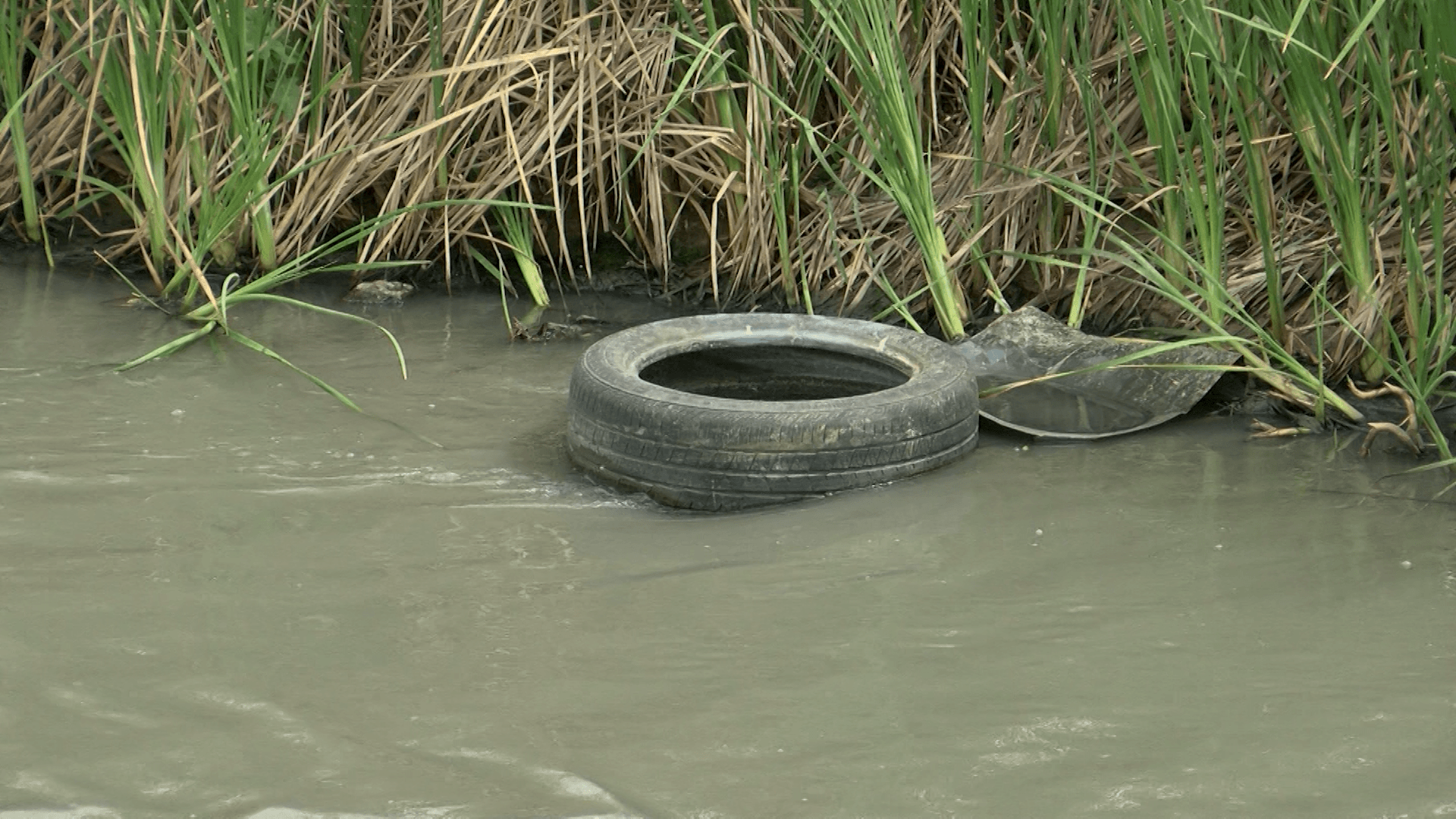 Descargas de Aguas Residuales
