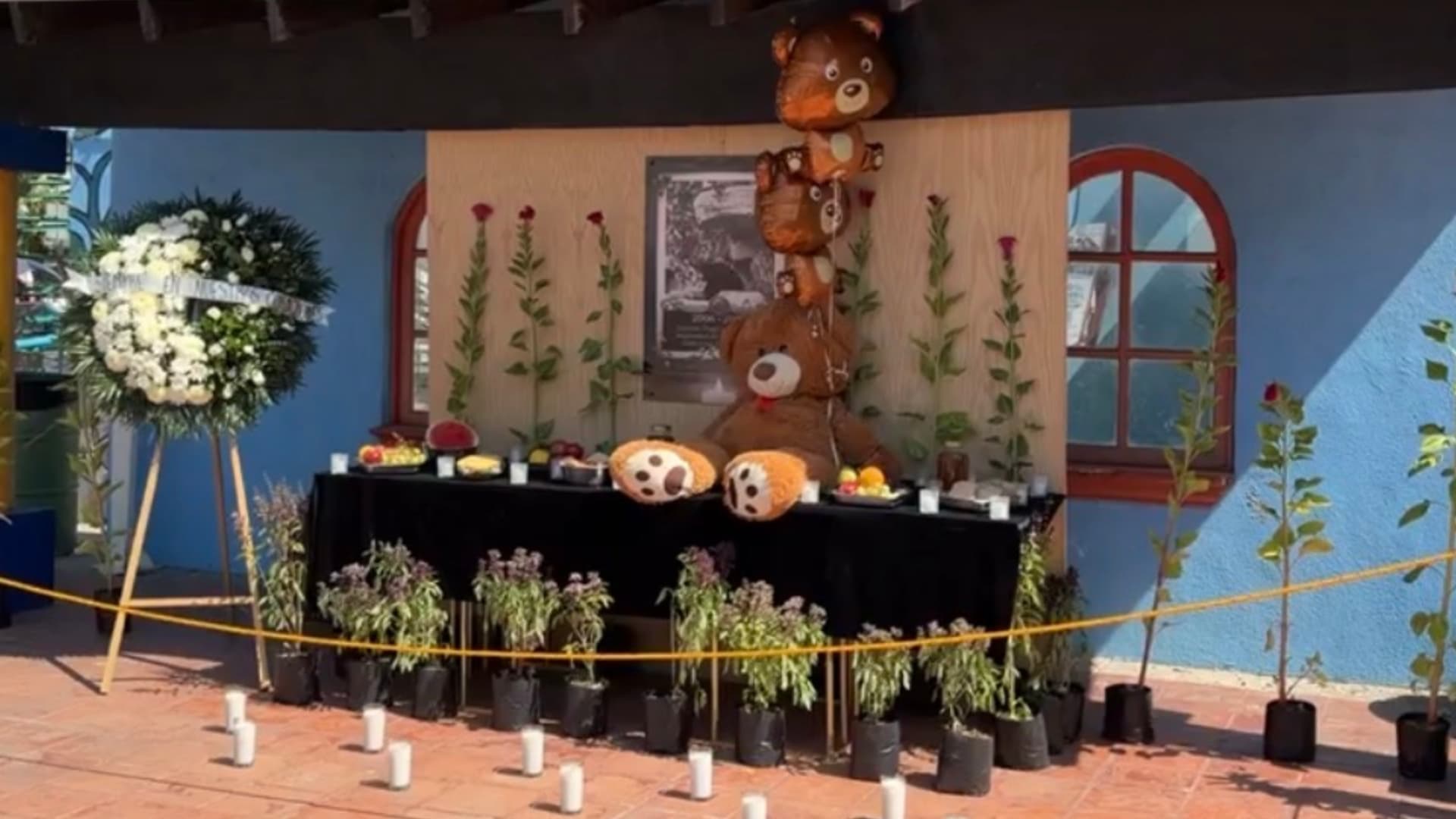 Colocan Altar para Despedir a Oso Yogui en el Parque Morelos de Tijuana, BC