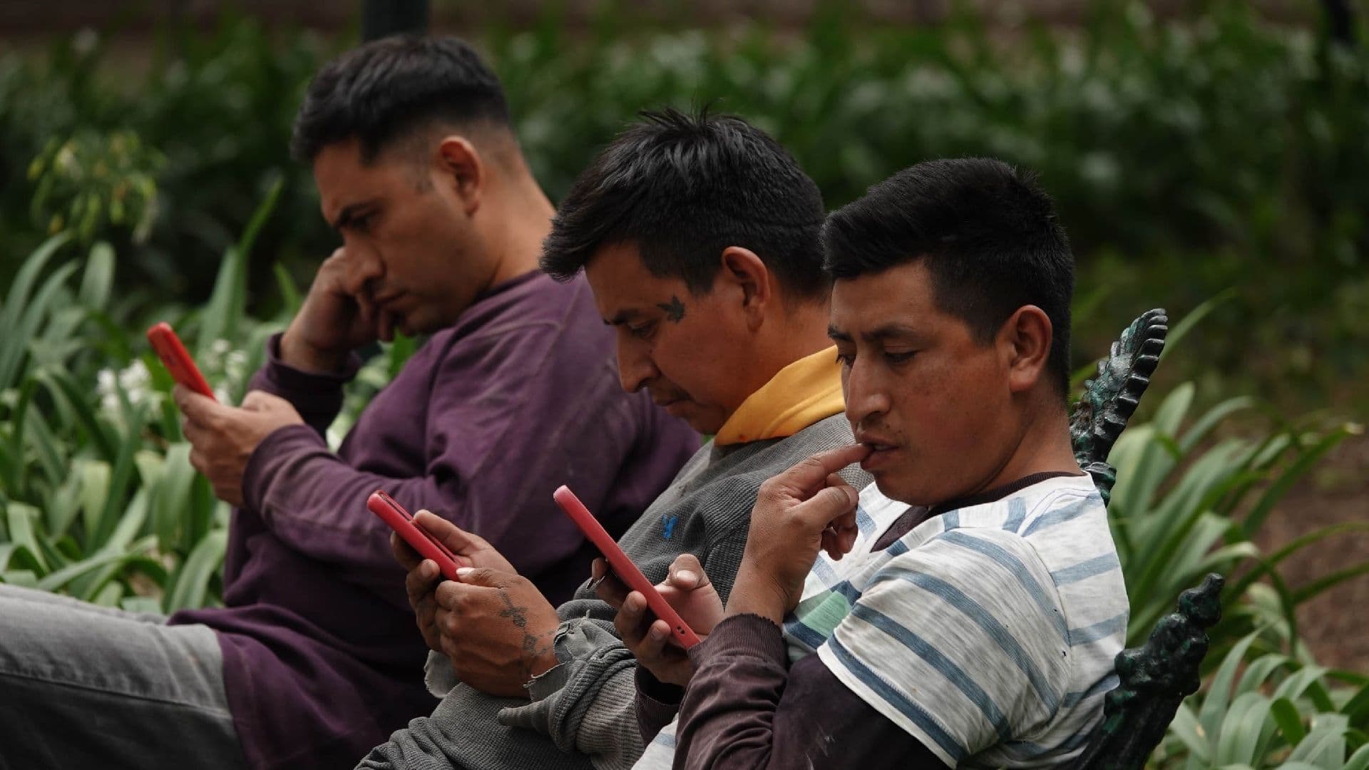 ¿App de Banamex Presenta Fallas Hoy, Sábado 30 de Mayo?: Esto se Sabe