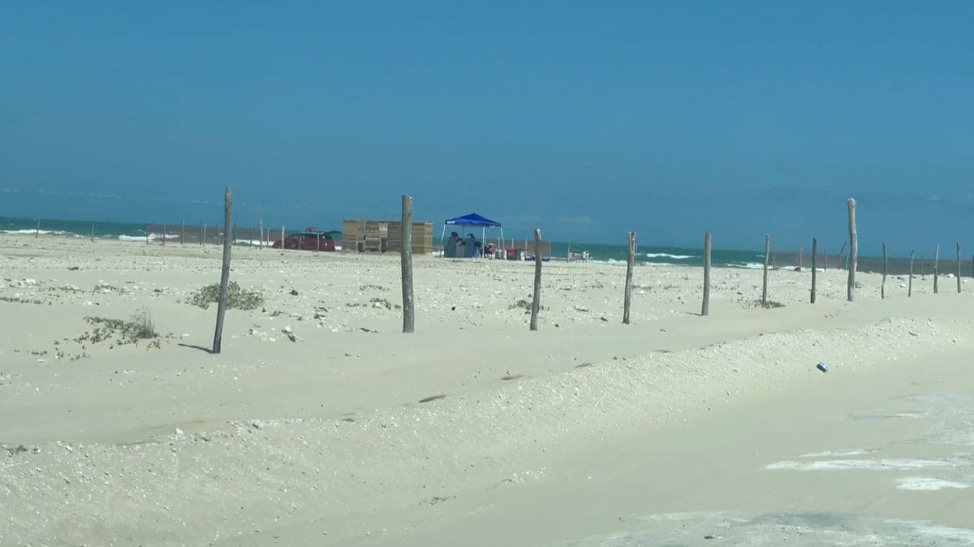 Entregan a Profepa Más Restos del Cohete Starship de SpaceX Hallados en Playa Bagdad