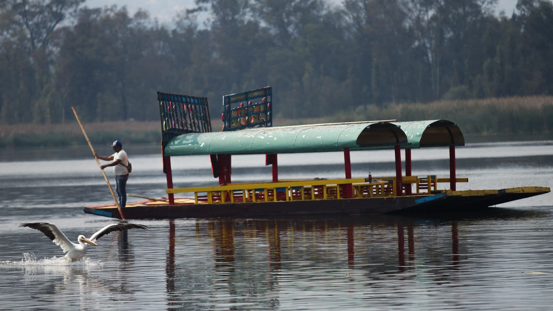 Vecinos Alertan por Crecida del Canal de Cuemanco, en Xochimilco; Temen Inundación