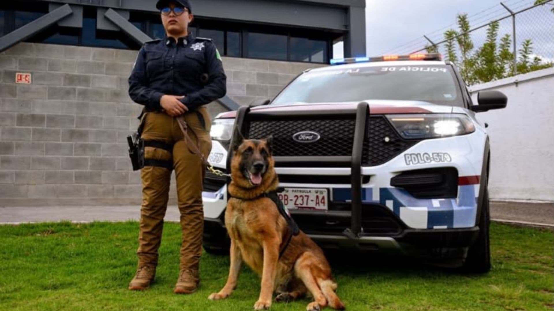 Rinden Homenaje a 'Loki', Perrito con Enfermedad Terminal de la SSC de Puebla