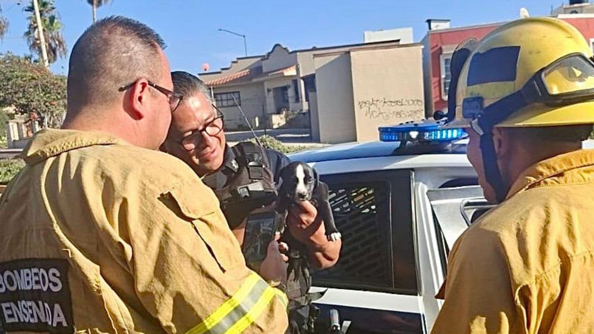 Rescatan a Cachorro Encerrado en Vehículo en Colonia Punta Banda, Ensenada
