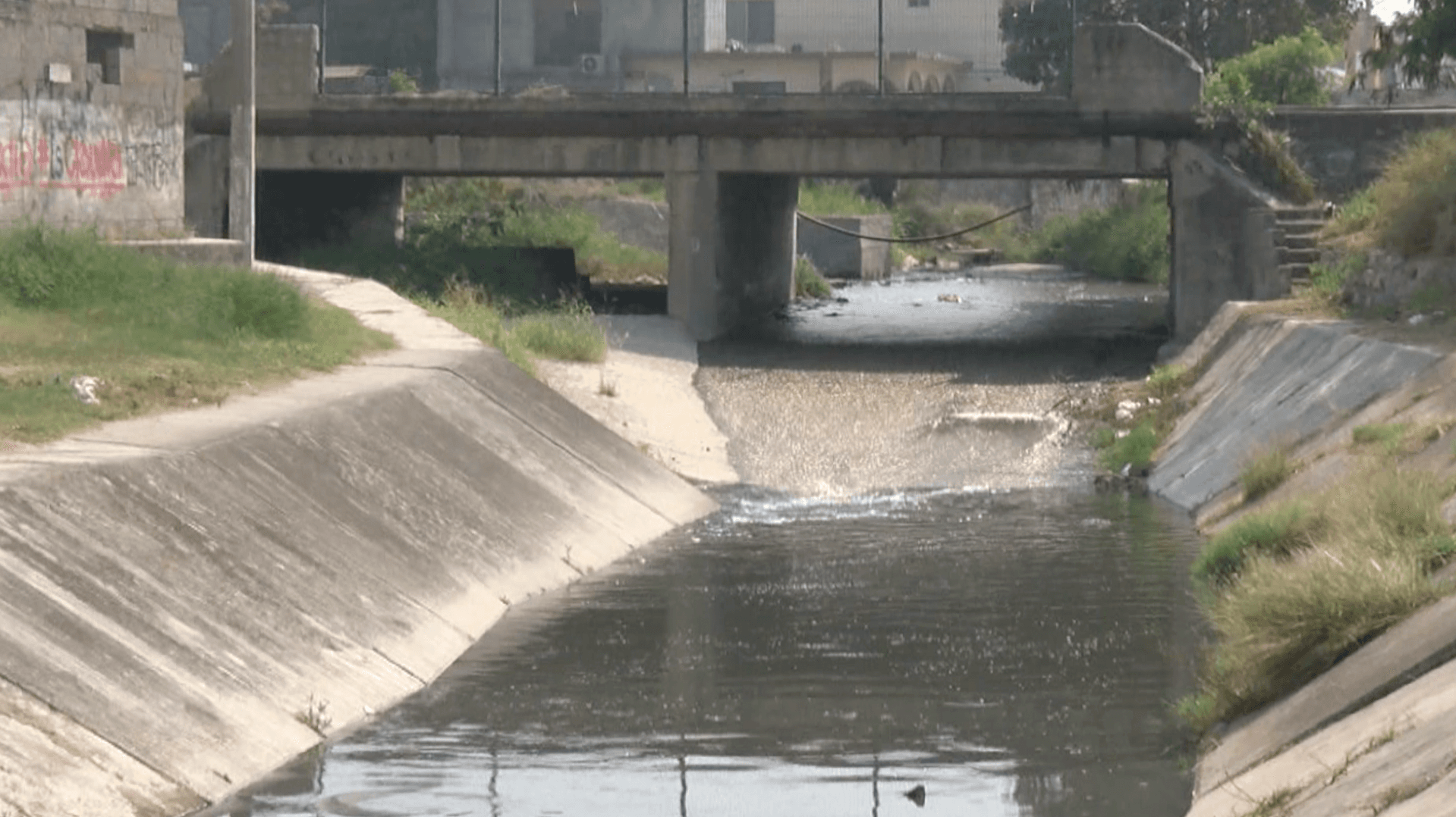 Cocodrilo Ataca a Perro al Interior de Canal de la Colonia Borreguera en Tampico