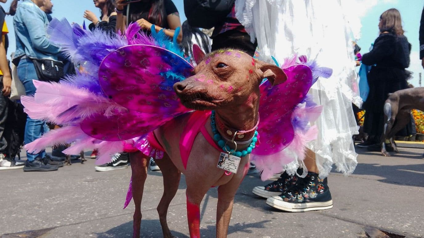 Caminata al Mictlán en CDMX