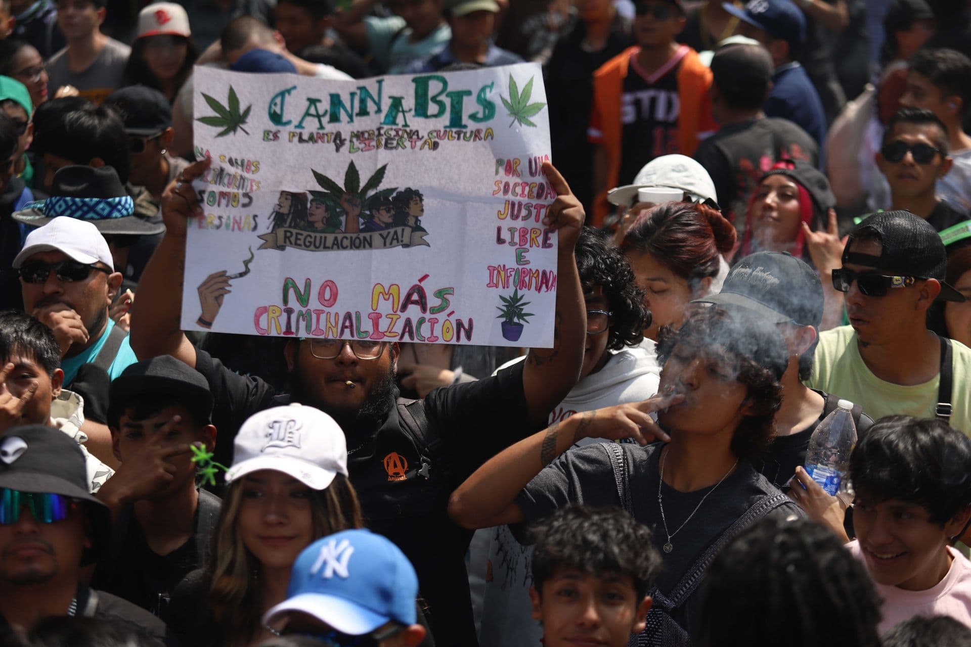 Cofepris Acata Resolución de la Corte Sobre Autoconsumo Lúdico de Cannabis, En Esto Consiste