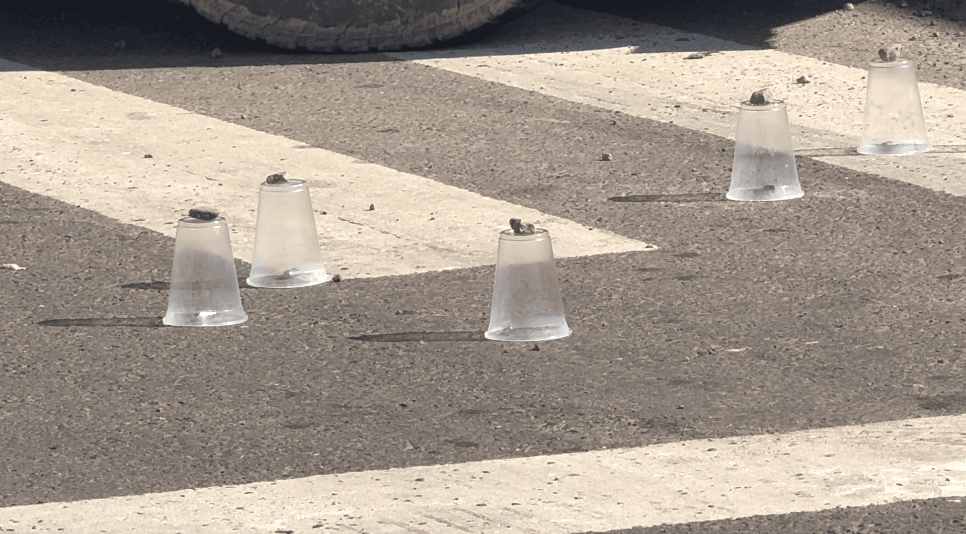 9 casquillos tras persecución en Culiacán