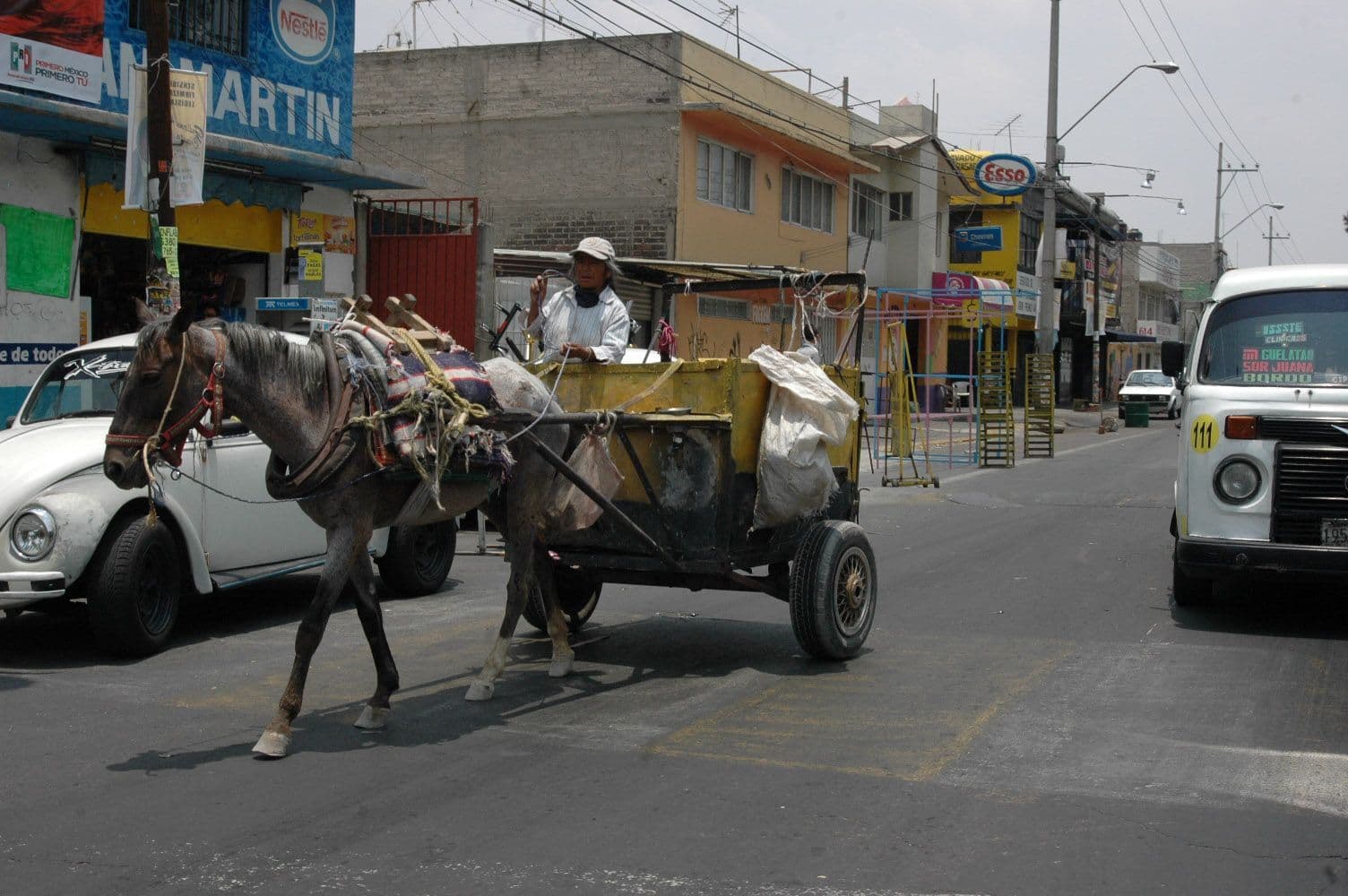 Carretonero