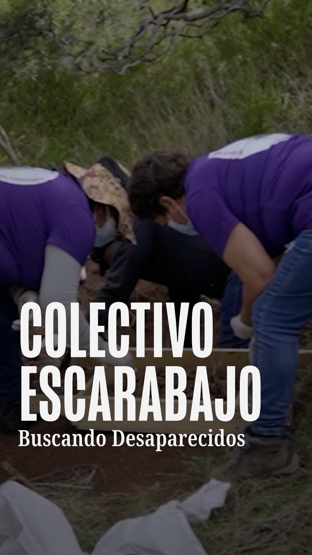 Colectivo Escarabajo. Buscando Desaparecidos