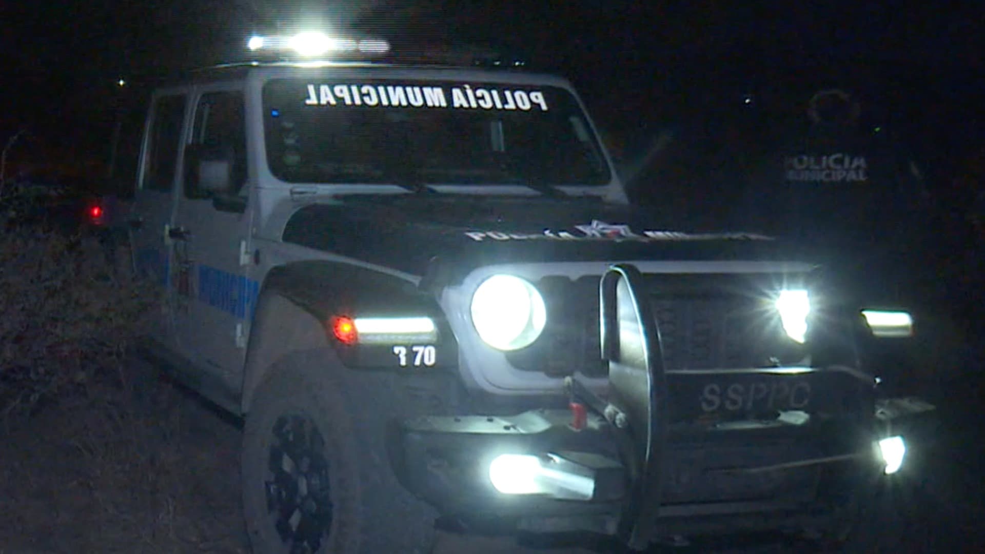 Hallan a Hombre Muerto que Estaba Siendo Comido por Perros en León.