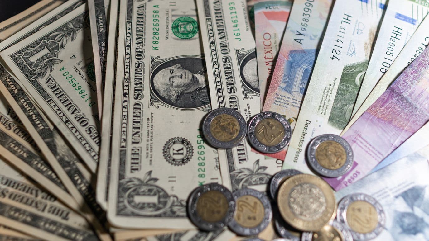 Dólares y billetes mexicanos. Foto: N+