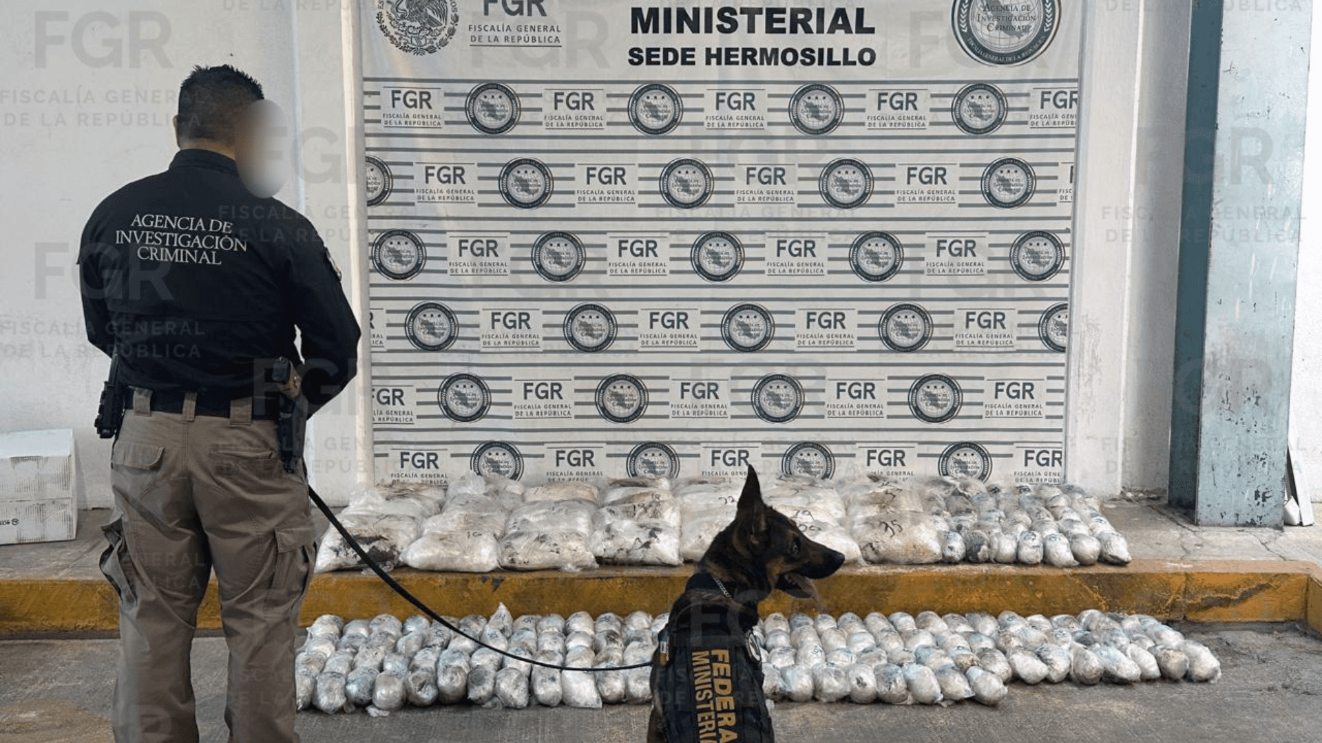 Aseguran Más de 100 Kilos de Metanfetamina en Paquetería de Hermosillo; El Destino era Tijuana