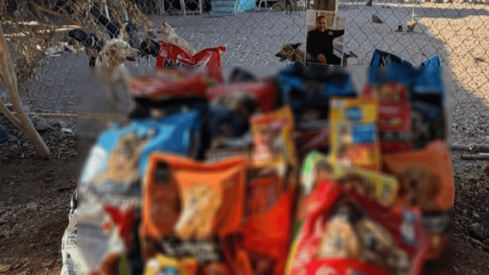 Cumplen Voluntad de Agente Asesinado en Cajeme; Recolectan Más de 1 Tonelada de Croquetas