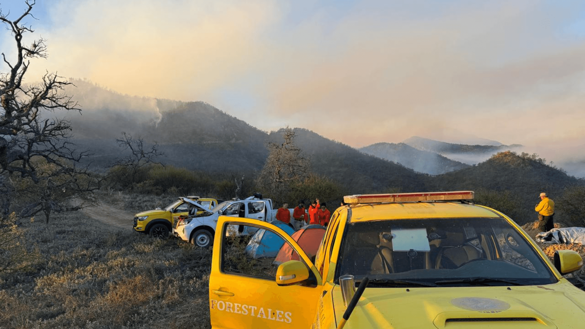 Incendio Forestal en Sierra Alta de Sonora ha Consumido 1,202 Hectáreas