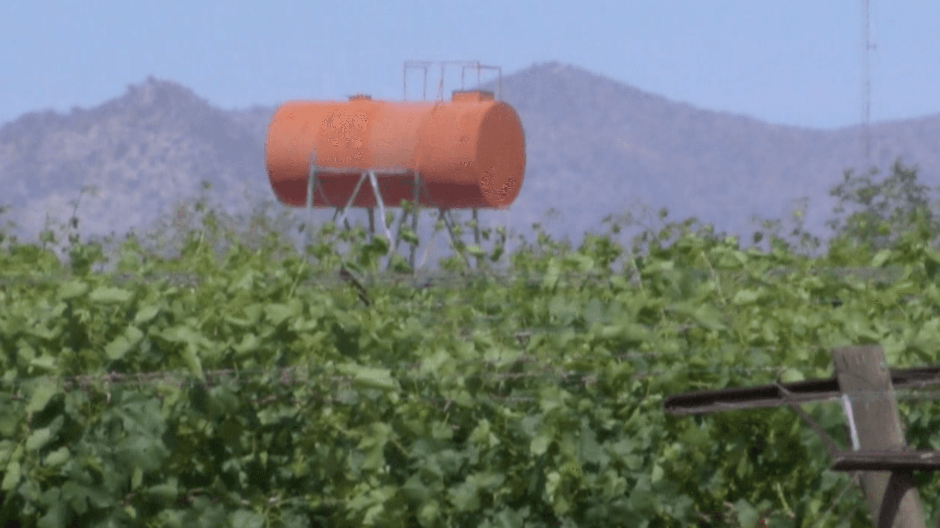 Localizan a Hombre Sin Vida en Represo de Campo Agrícola en la Costa de Hermosillo