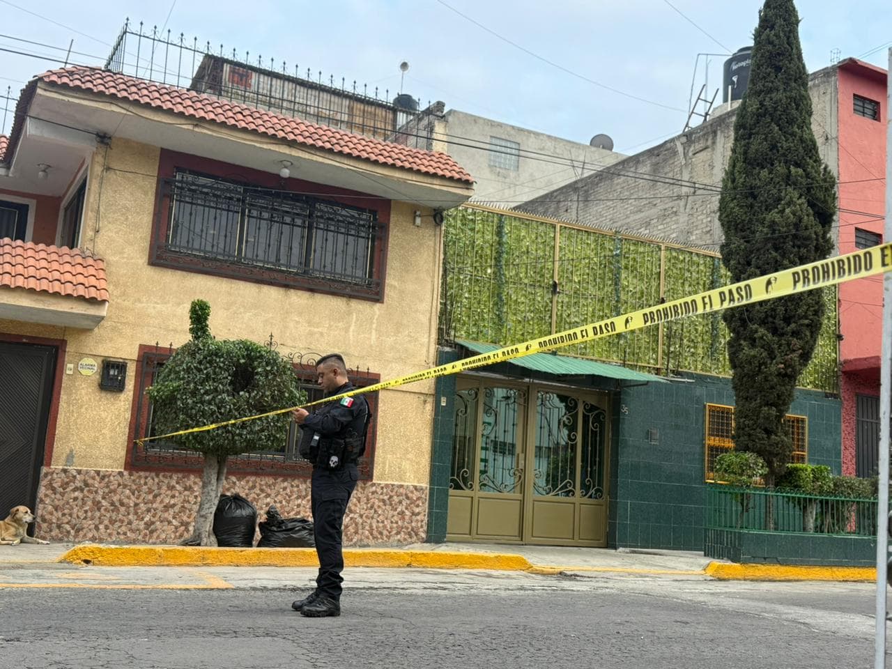 Encuentran restos de mujer durante búsqueda