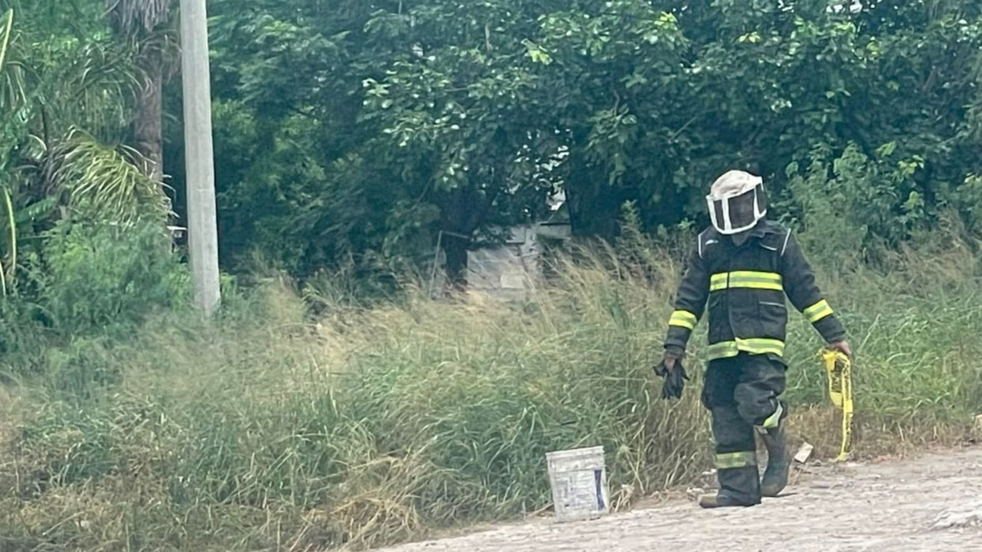 Fatal Ataque de Abejas Cobra la Vida de un Hombre en Matamoros