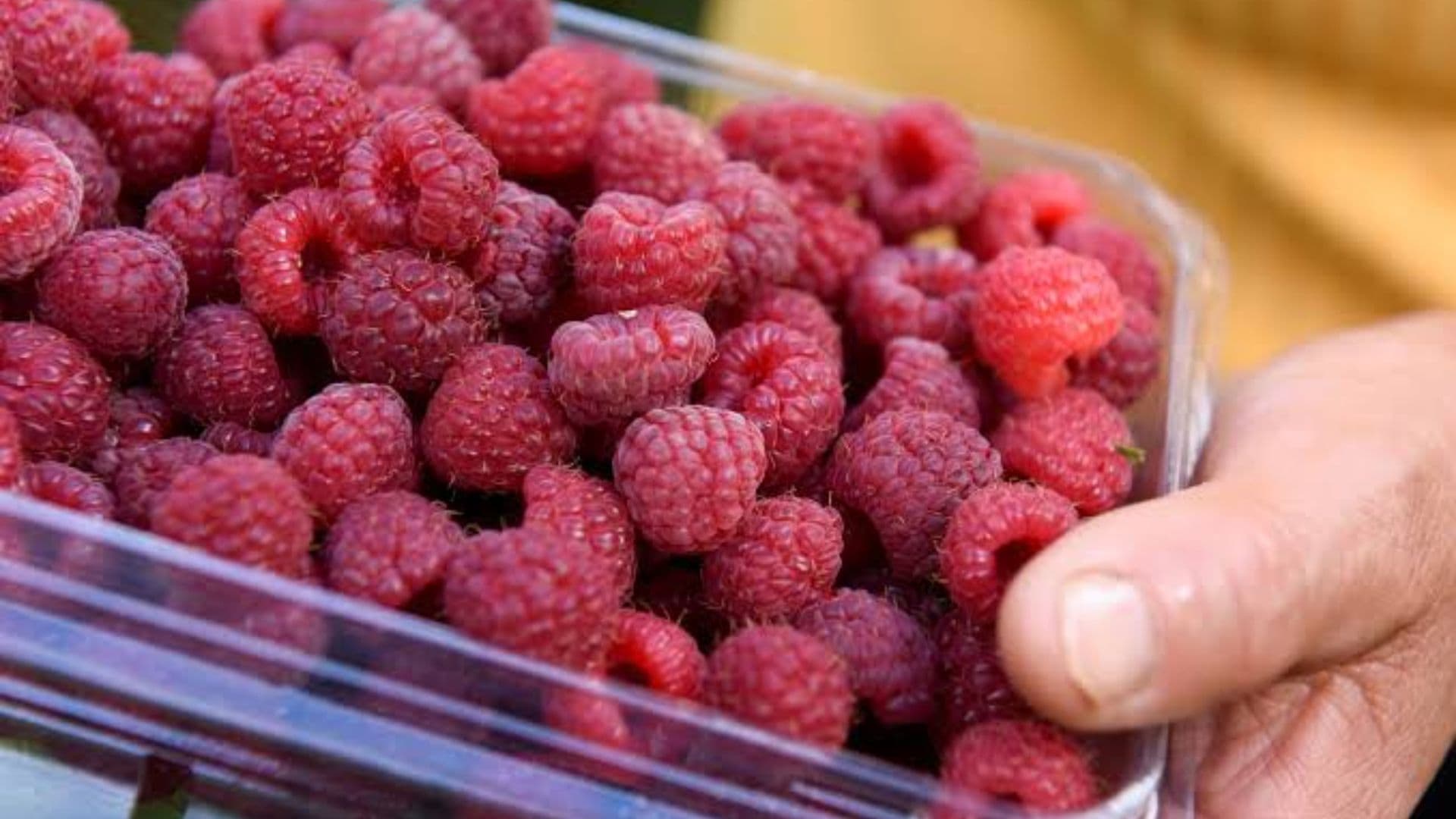 Frutos rojos. Foto: Reuters/ Archivo