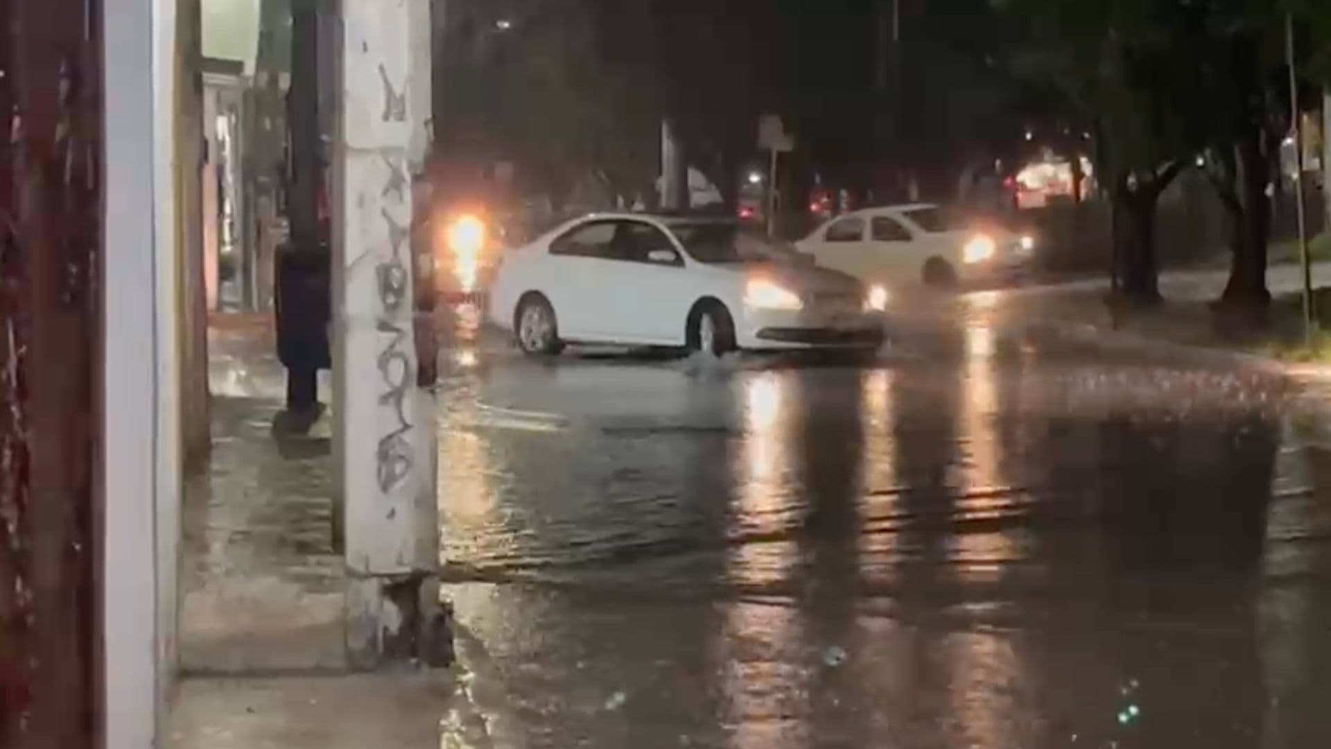 Lluvias Dejan Caída de Árboles y Postes en Querétaro; Autoridades Piden Reportar Afectaciones