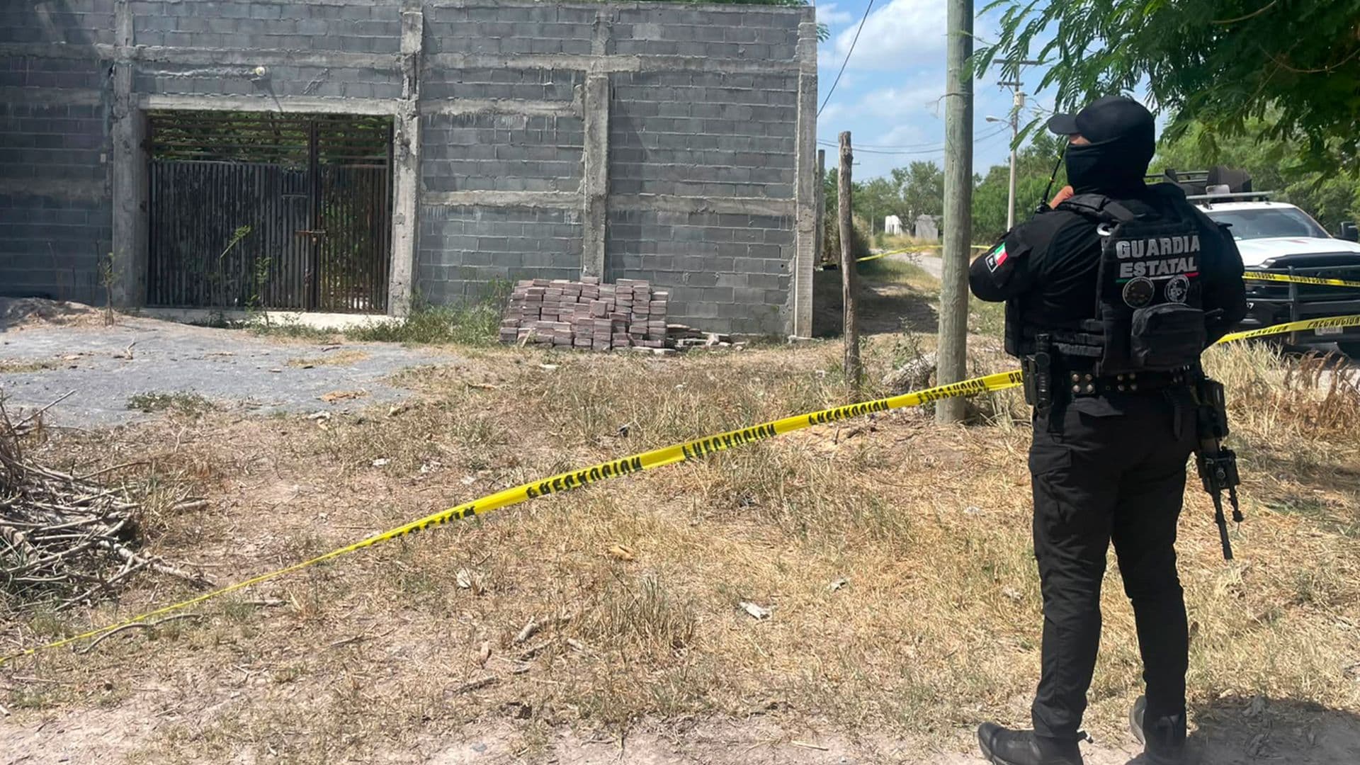 Encuentran una Leona en Ejido Ampliación La Tijerita en Matamoros