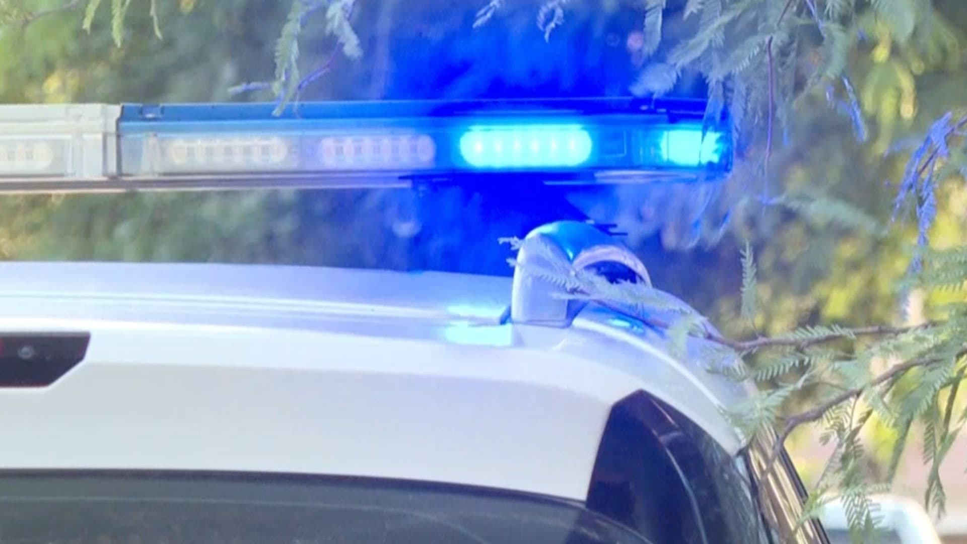 Cinco Hombres Detenidos por Retirar Sellos de Clausura en Construcción en Hermosillo