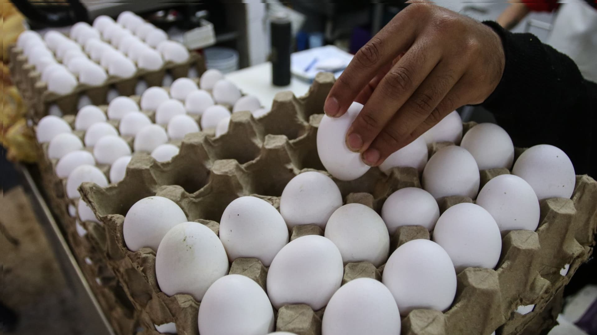 Retiran 1.5 Millones de Docenas de Huevos por Riesgo de Contaminación. Foto: Cuartoscuro