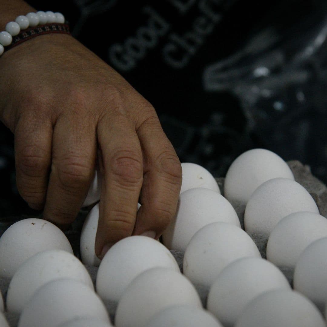 ¿Cuáles Son los Huevos que No Debes Comer por Posible Salmonella? Así los Identificas