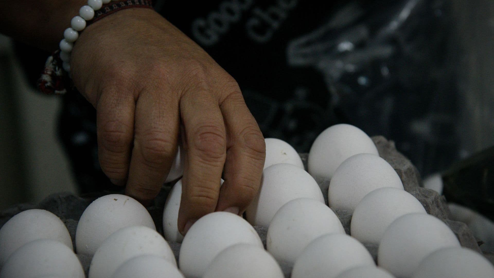 Huevos vendidos al menudeo. Foto: Cuartoscuro