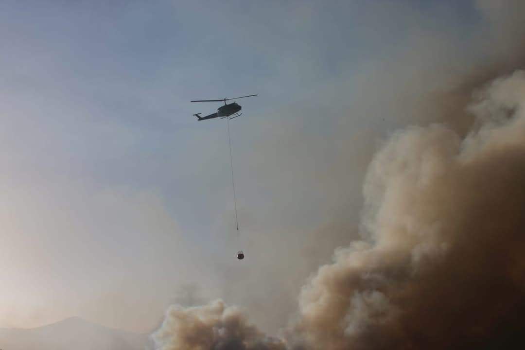 Incendio forestal en límites de Tijuana y Tecate