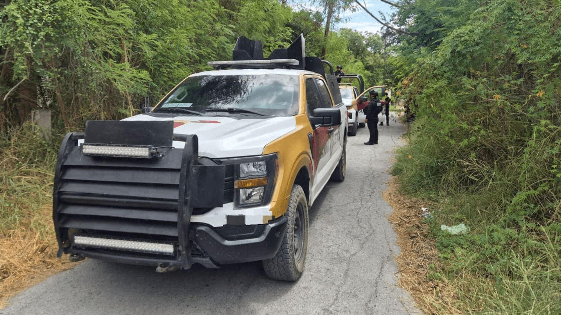 Guardia Estatal asegura presunta marihuana en vivienda abandonada de Tamaulipas