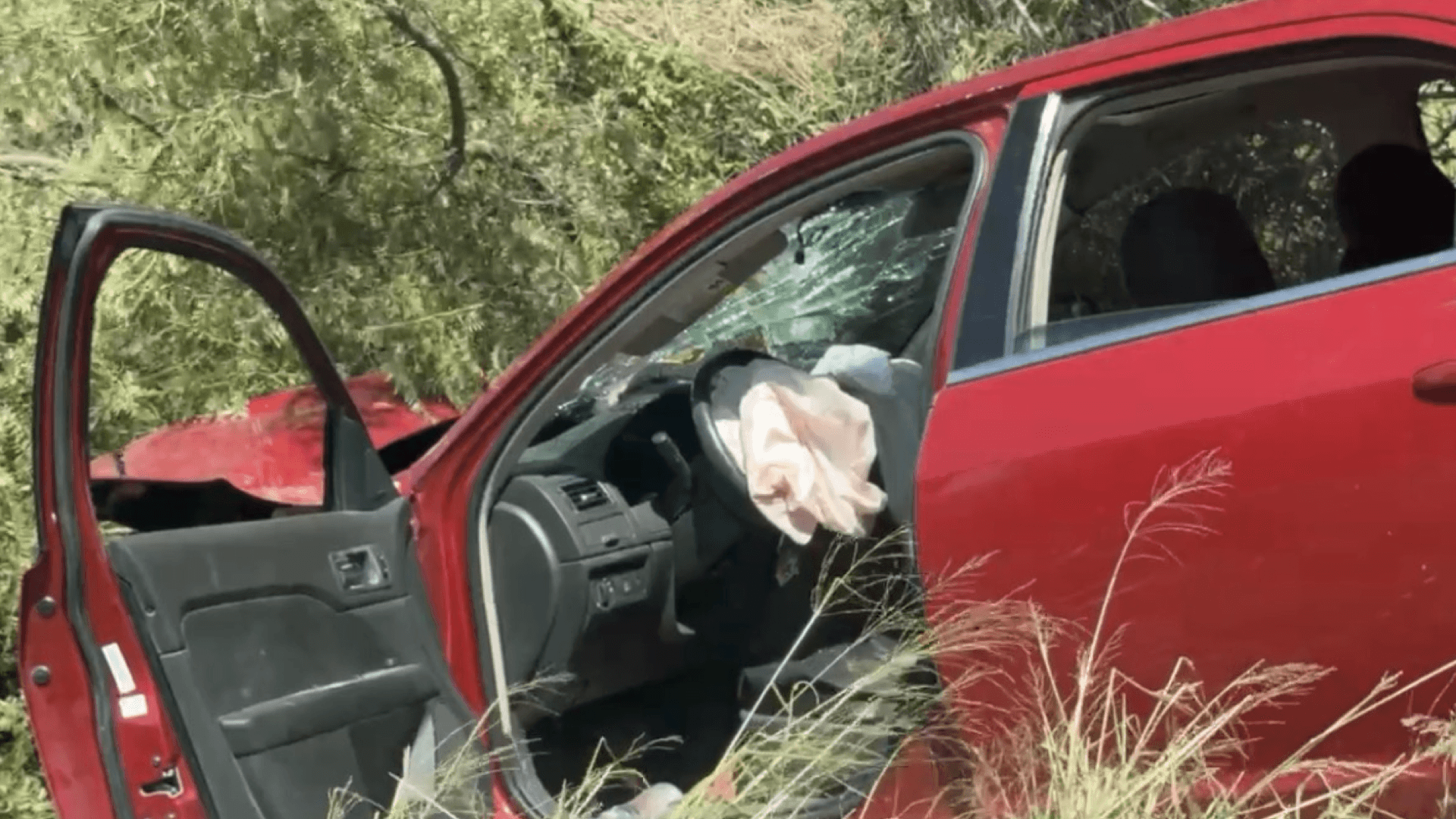 Enjambre de Abejas Ataca a Familia en Río Bravo; Dos Menores Resultan Afectados