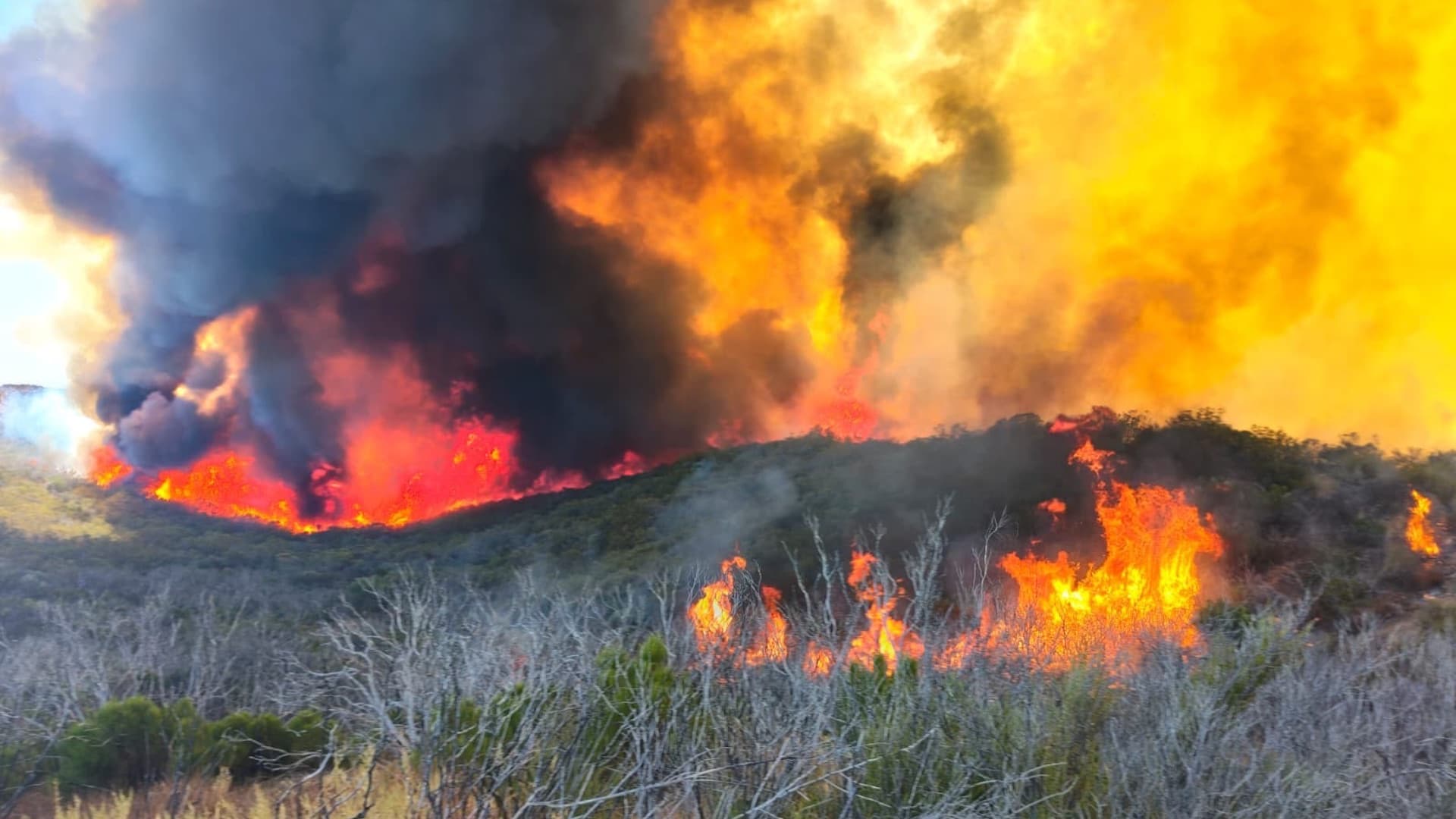 Incendio Forestal Afecta 800 Hectáreas en Valle de la Trinidad, Ensenada
