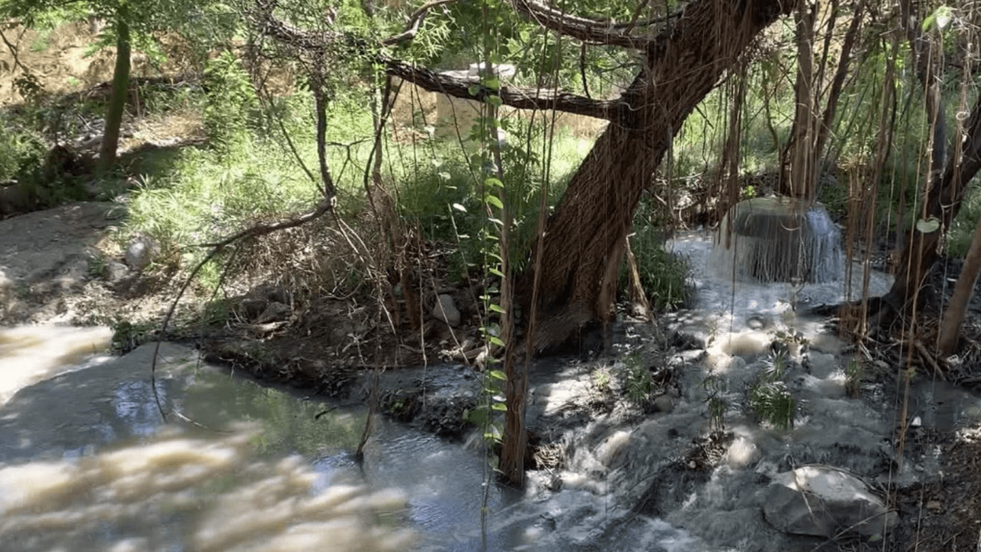 Fuga de Aguas Negras Afecta al Río San Marcos en Ciudad Victoria