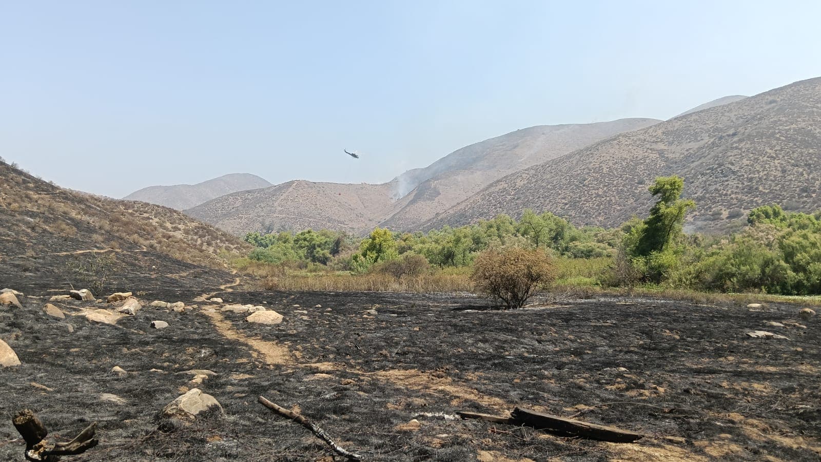 Incendio Forestal Baja California