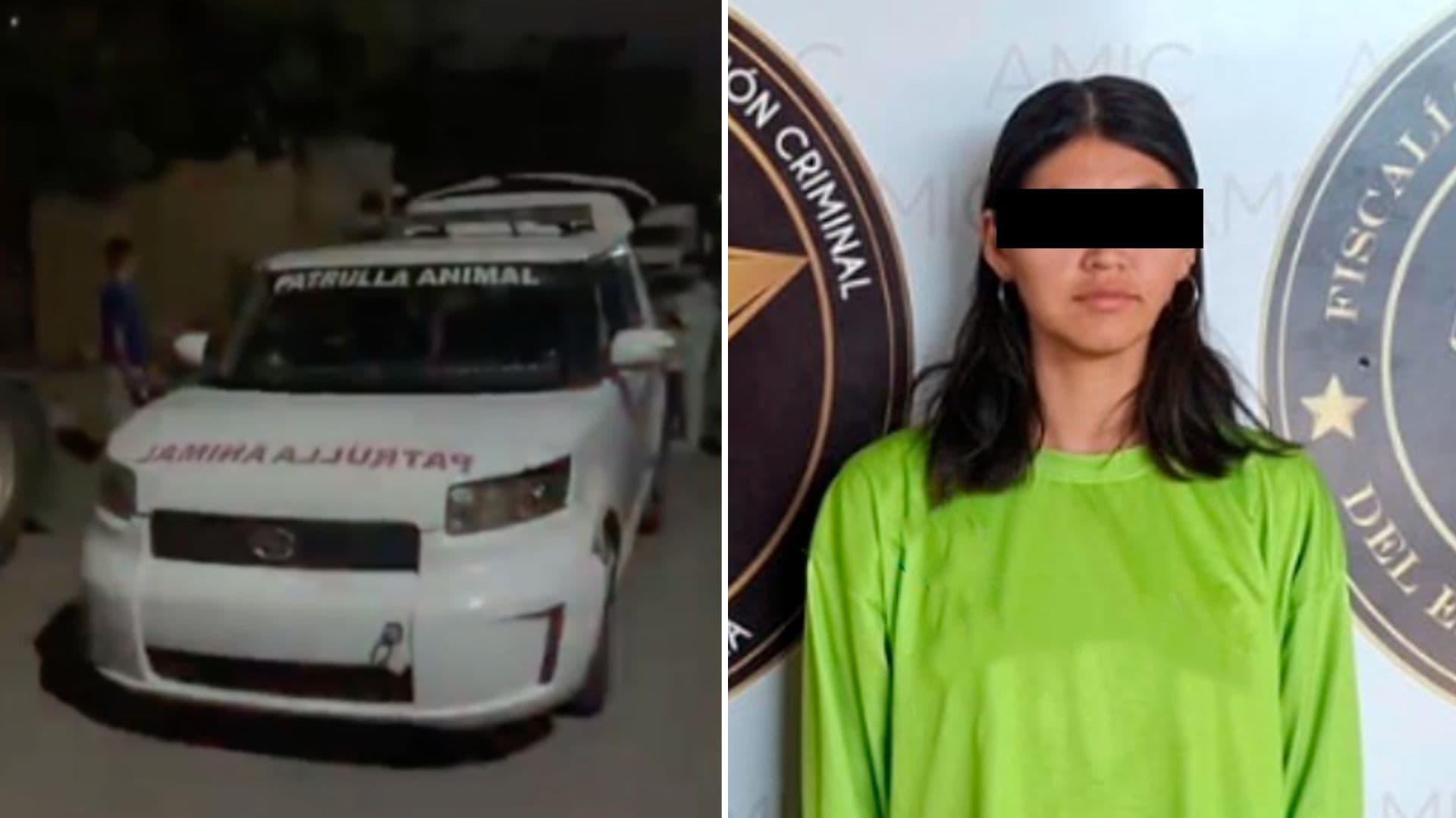 Joven Imputada por Presuntamente Verter Agua Hirviendo Sobre una Perra en Hermosillo, Sonora