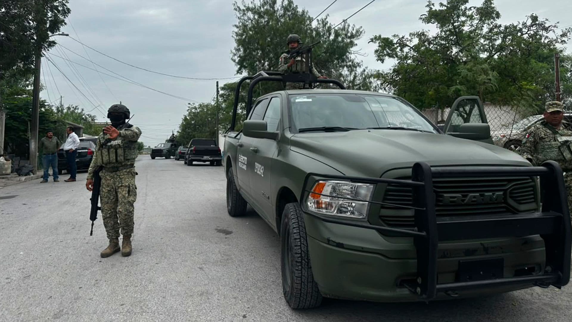 Localizan un León Dentro de una Casa Abandonada en Matamoros