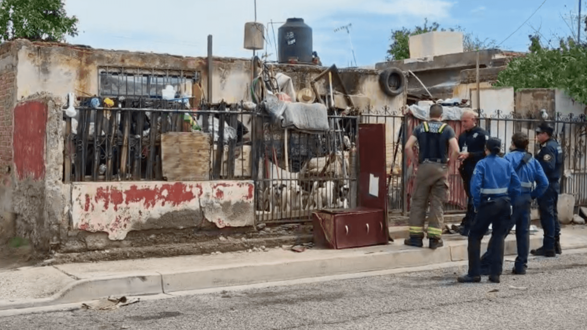 Localizan a Hombre Sin Vida en Domicilio de Hermosillo; Rescataba Perros en Situación de Calle