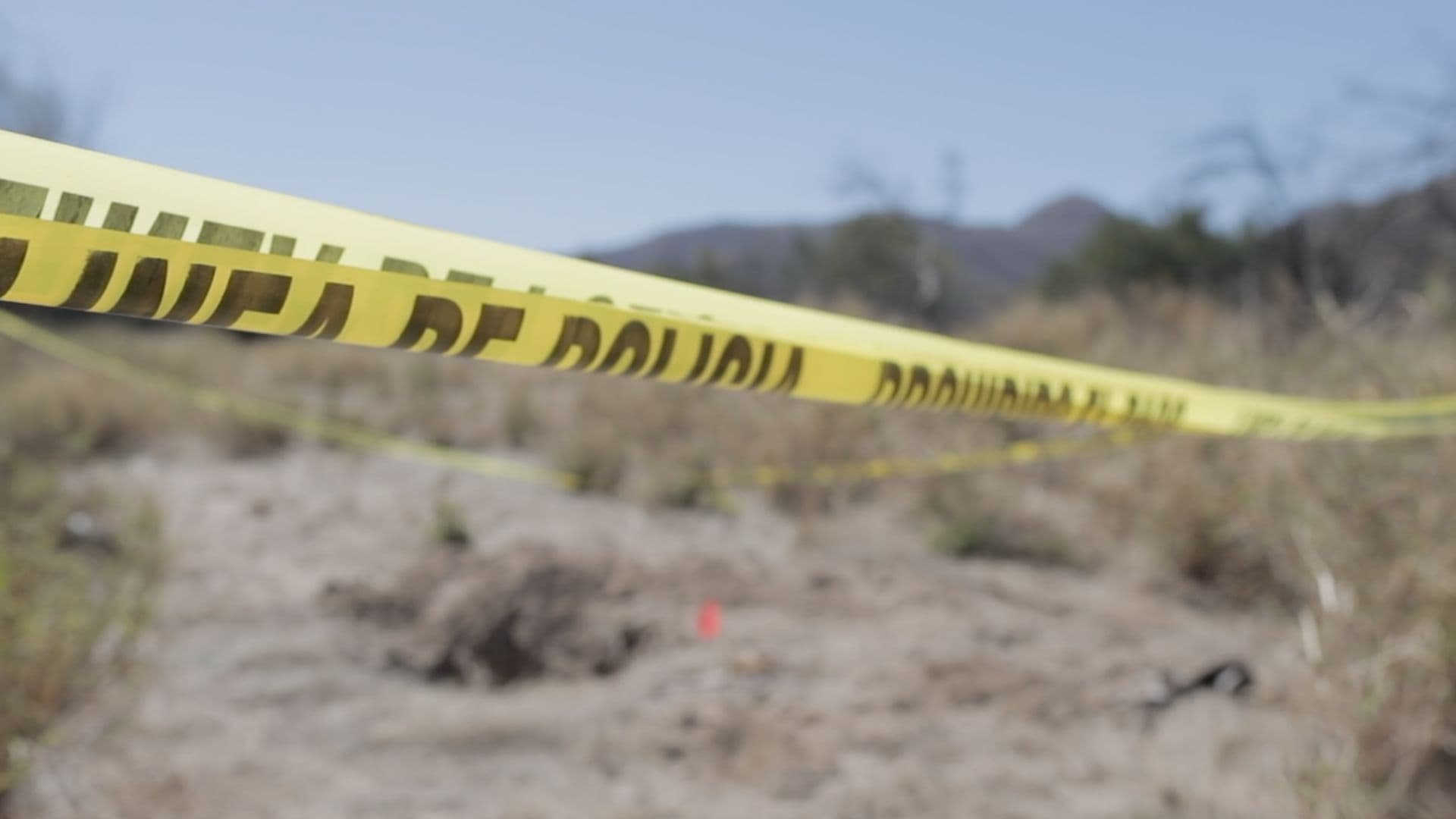 Localizan Restos Óseos en Panteón Clandestino en Sonoyta; Suman 41 Osamentas Encontradas