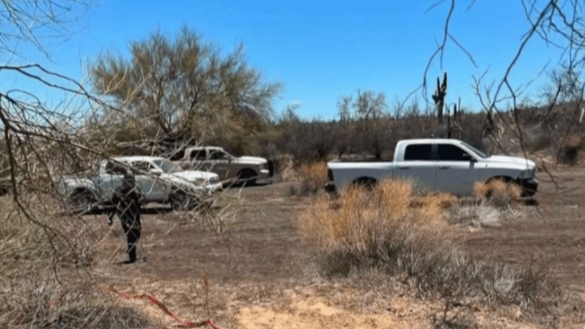 Colectivos de Búsqueda Localizan Restos Óseos de 3 Personas Cerca de Puerto Peñasco, Sonora