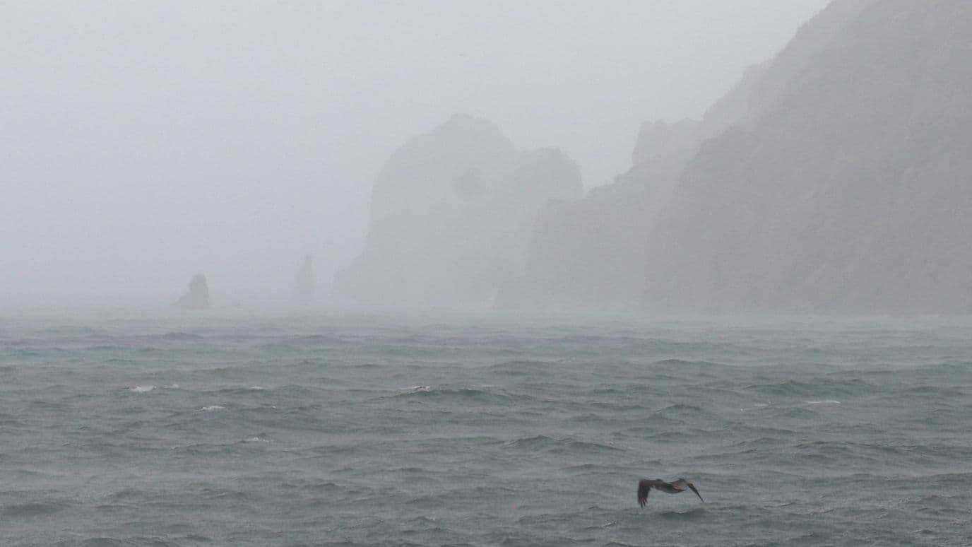 Los Cabos