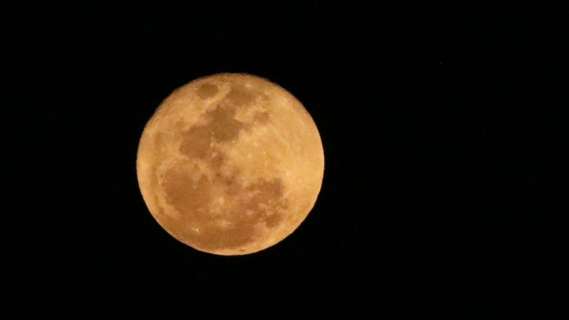 Luna Llena en el cielo nocturno. Por qué le dicen Luna de Esturión a la Luna de agosto y cuándo será.