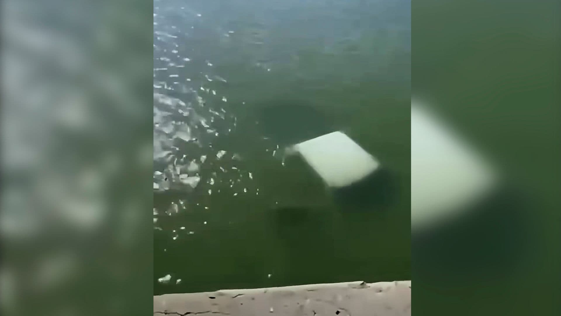 Revelan Nombres de los Cuatro Marinos que Murieron en Accidente en Tamaulipas.
