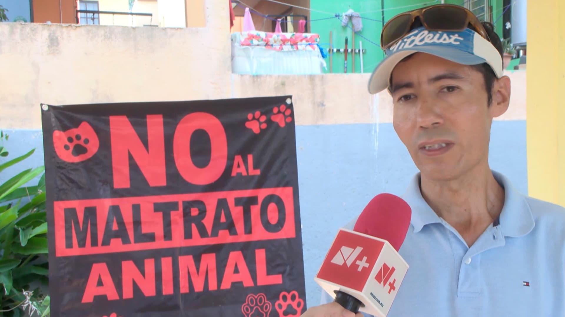 Al menos 25 Animales han Muerto por Presunto Envenenamiento