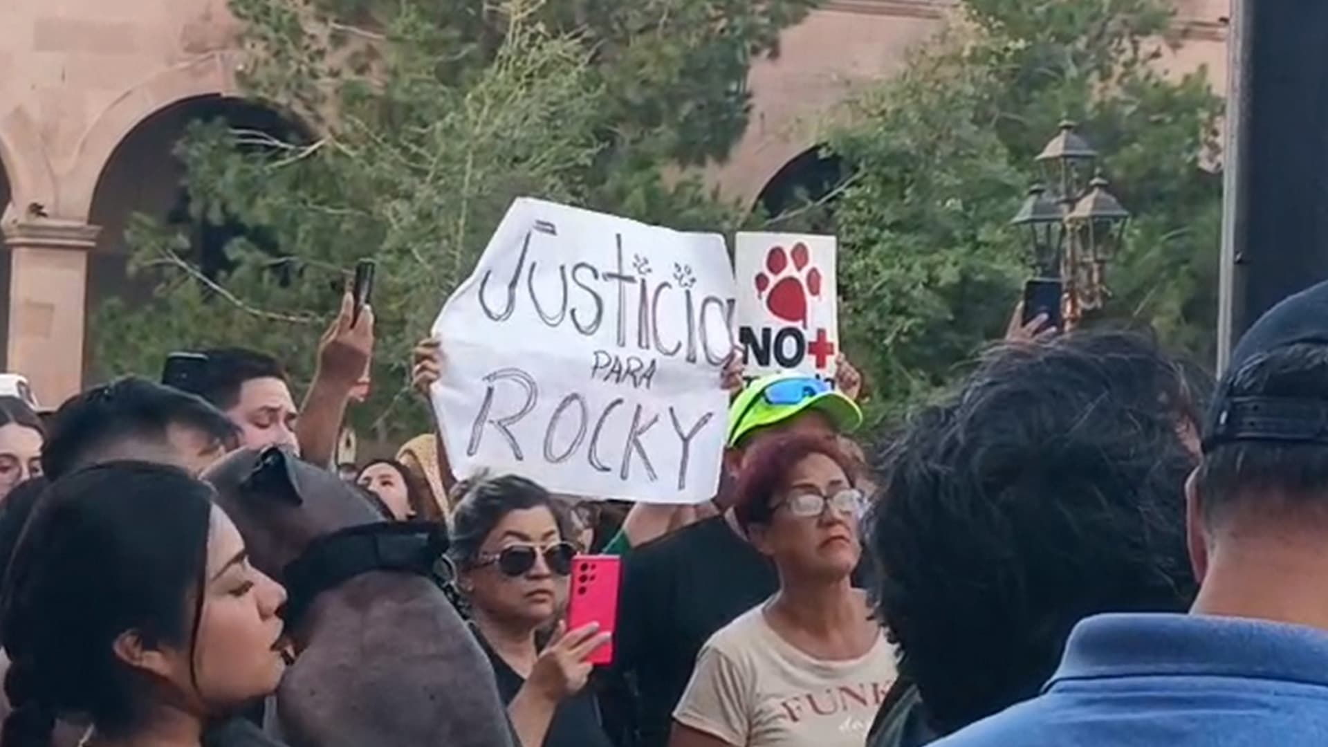 Protestan por Rocky en Saltillo: Exigen Justicia por Perro que Murió Atropellado por su Dueña