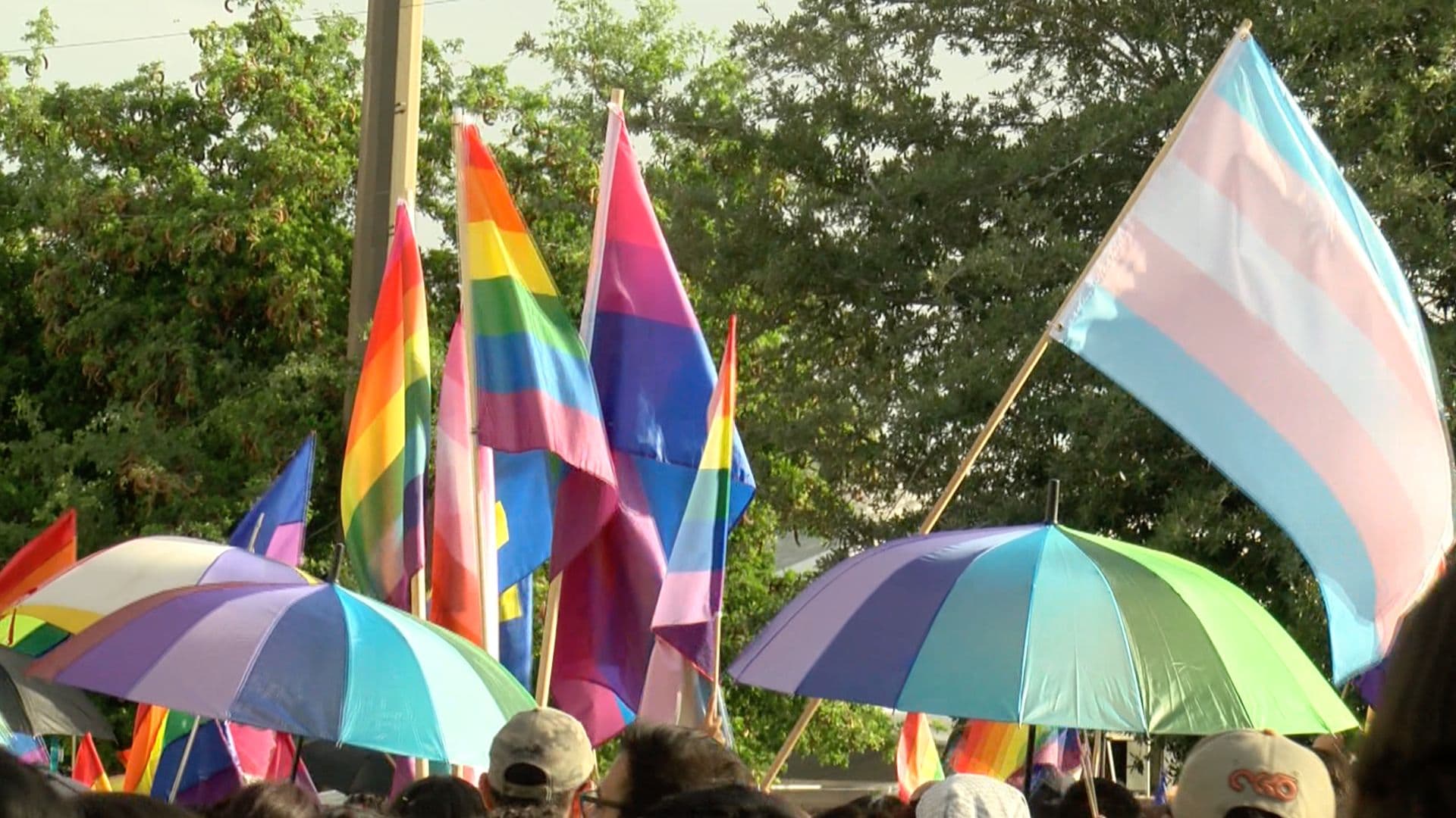 Marchas del Orgullo LGBT+ en La Laguna: Horario y Ruta