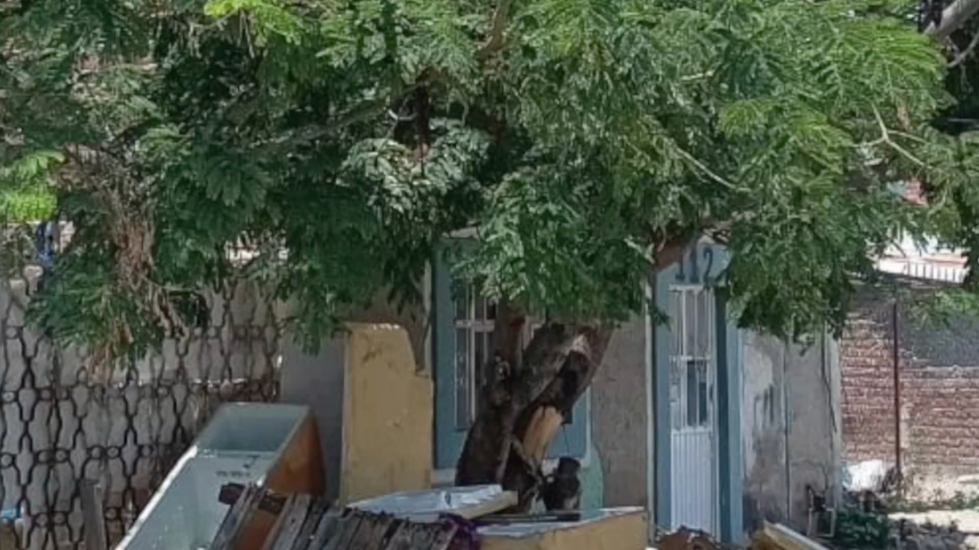 Un amigo de Jordan intentó subir al árbol para ayudarlo, pero estaba muy arriba.