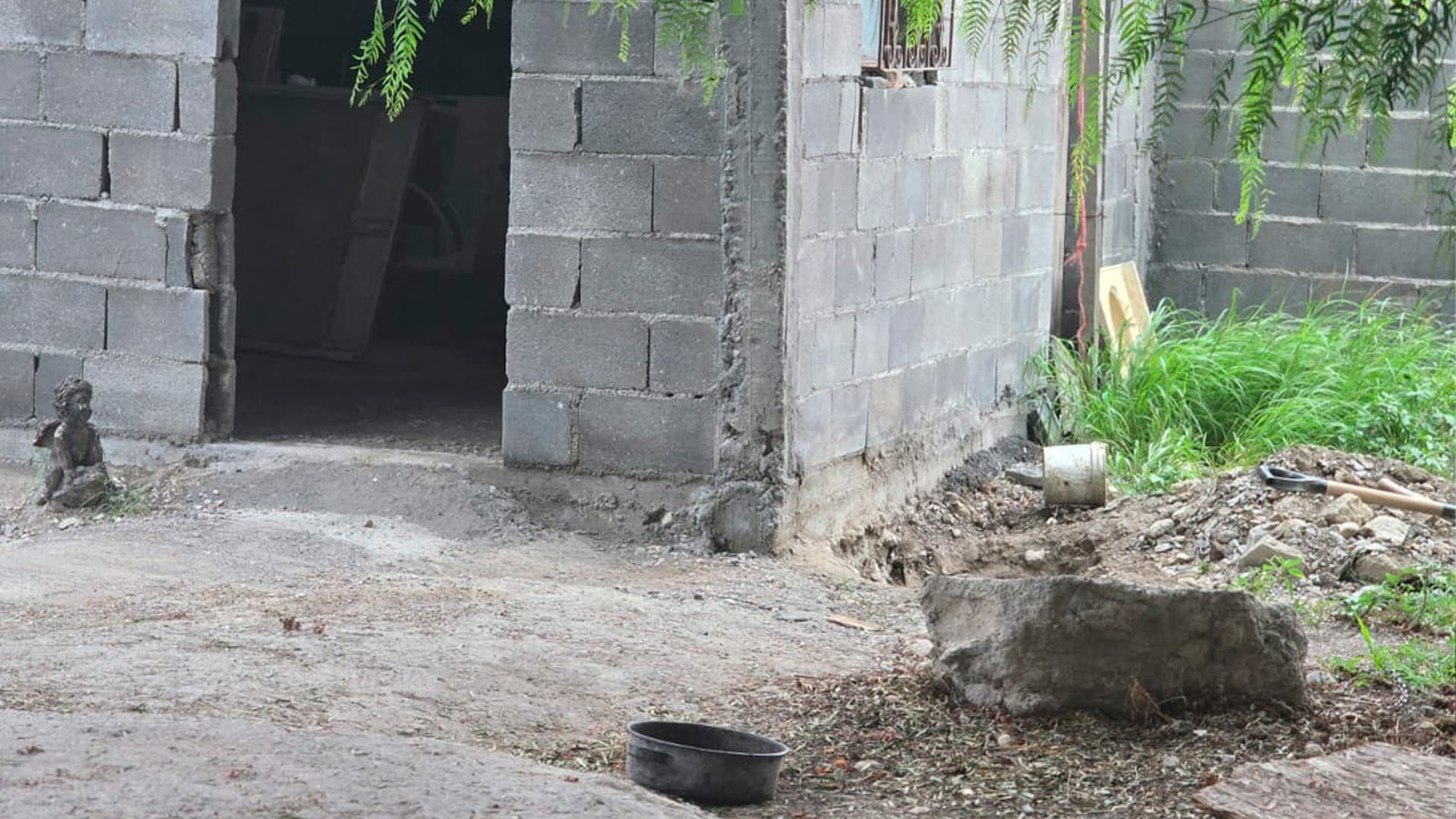 Muere Perro que fue Rescatado de un Hoyo en Saltillo